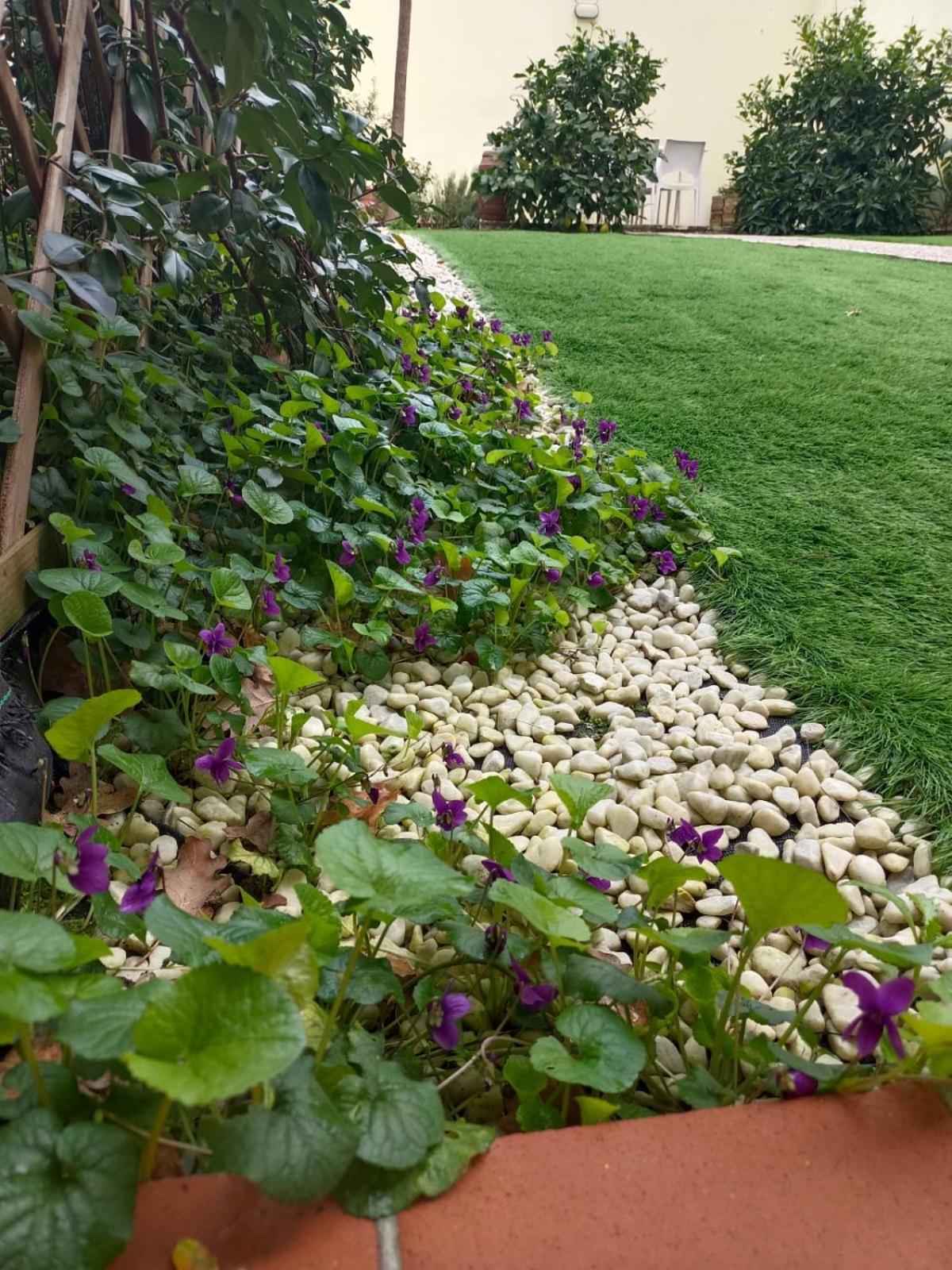 Movie Star Apartment With Garden Florenţa Exterior foto