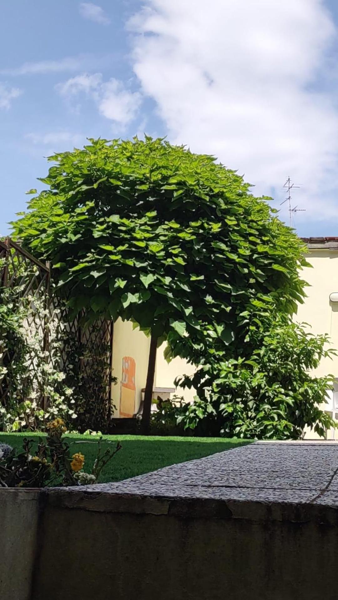 Movie Star Apartment With Garden Florenţa Exterior foto